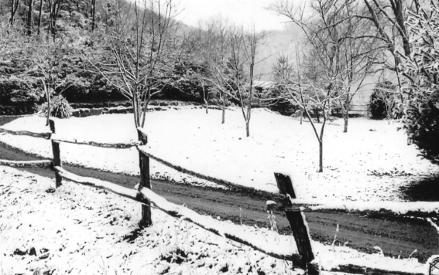Barbara Fritts: Coming Home